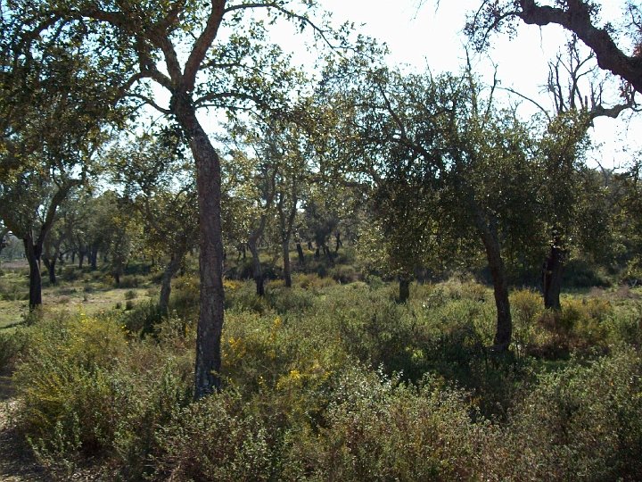 2009_portugal 233